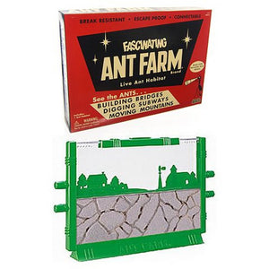 Fascinating Ant Farm