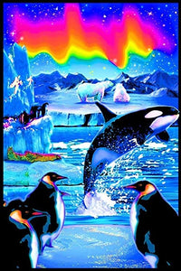 Arctic Aurora Black Light Poster